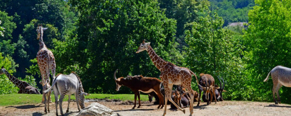 zoo proche lyon