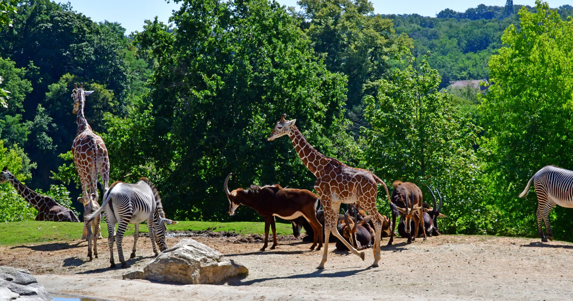 zoo proche lyon